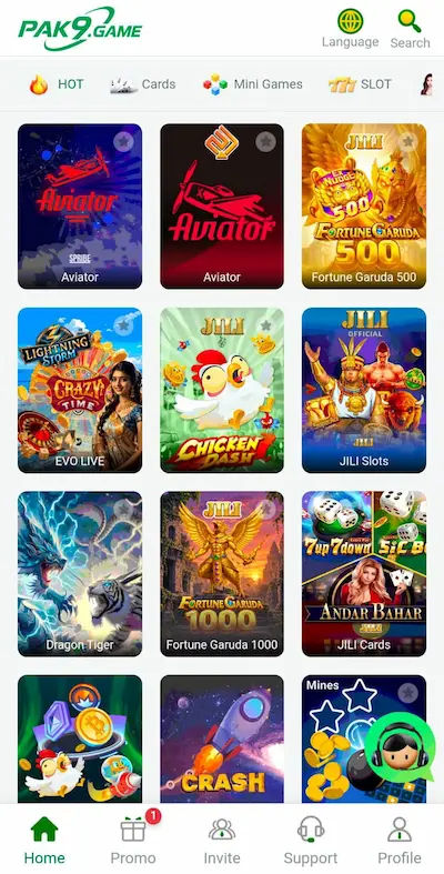 PAK9 Game 
